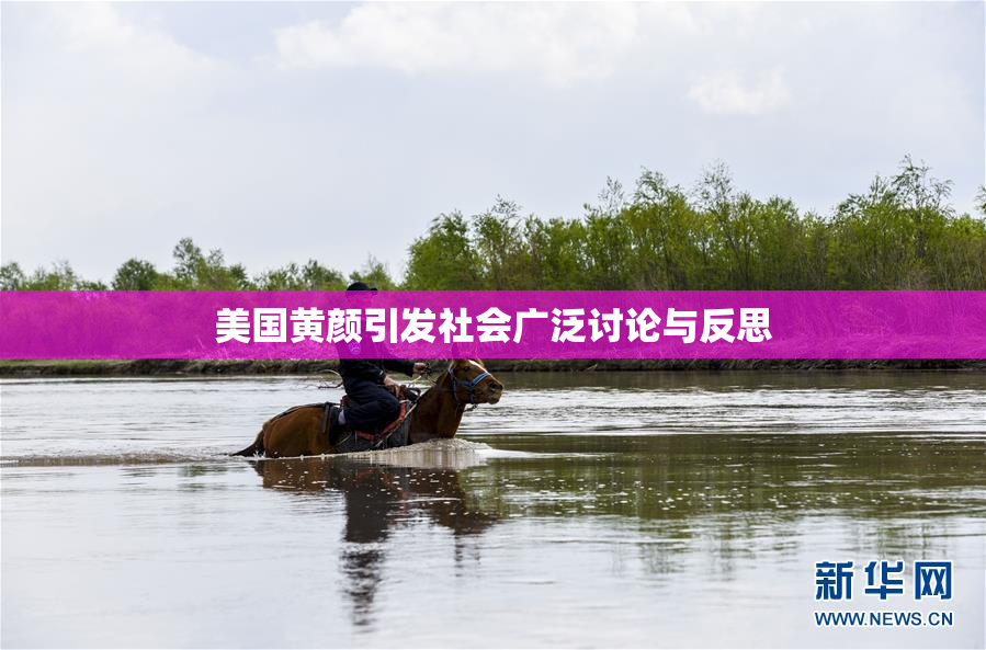 美国黄颜引发社会广泛讨论与反思