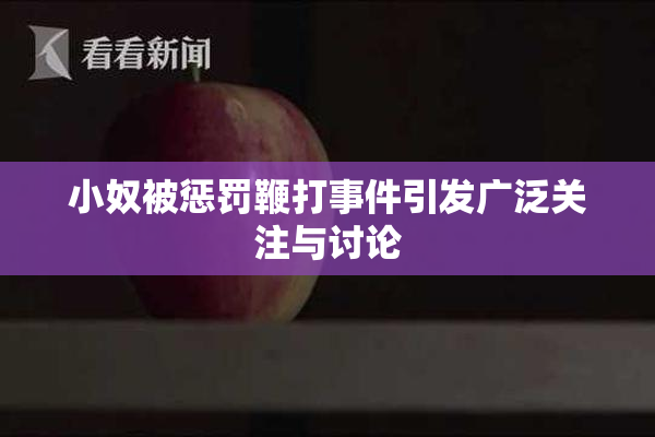 小奴被惩罚鞭打事件引发广泛关注与讨论