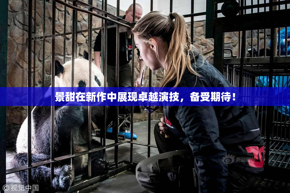 景甜在新作中展现卓越演技，备受期待！