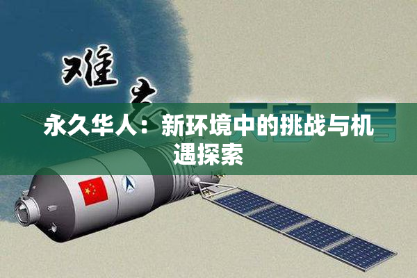 永久华人：新环境中的挑战与机遇探索