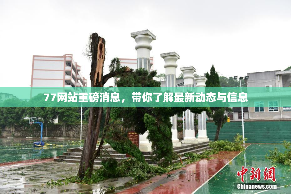 77网站重磅消息，带你了解最新动态与信息