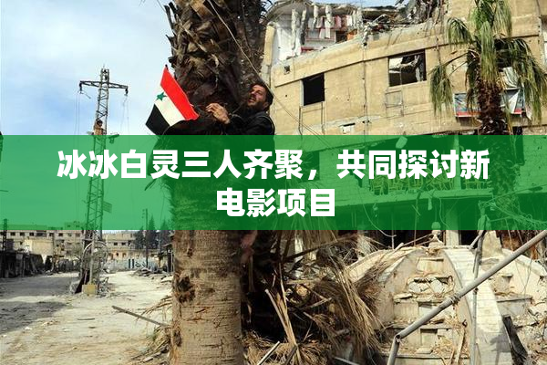 冰冰白灵三人齐聚，共同探讨新电影项目