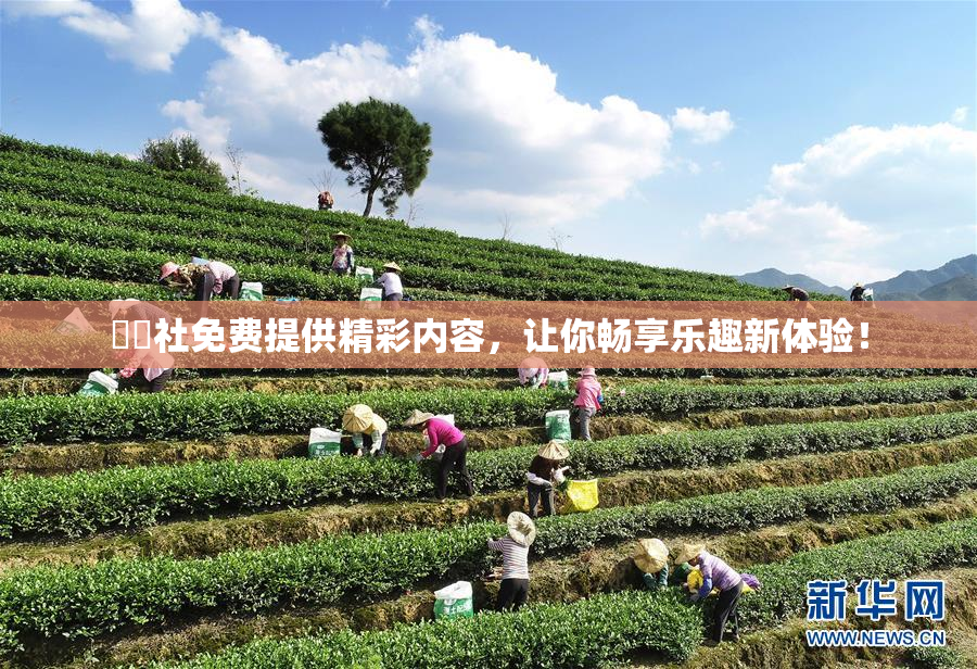 擼擼社免费提供精彩内容，让你畅享乐趣新体验！