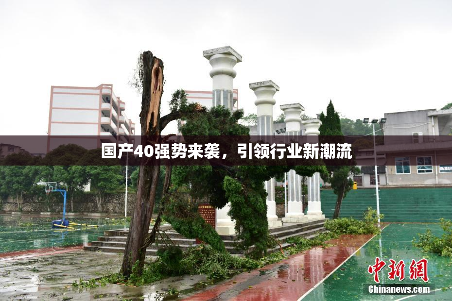 国产40强势来袭，引领行业新潮流