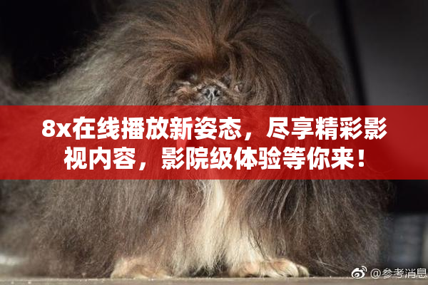 8x在线播放新姿态，尽享精彩影视内容，影院级体验等你来！
