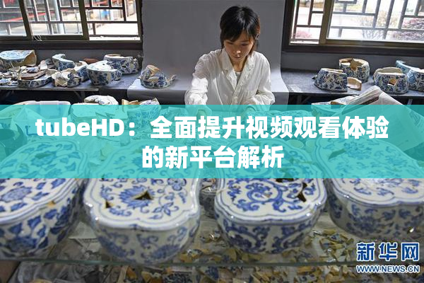 tubeHD：全面提升视频观看体验的新平台解析