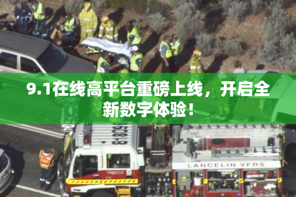 9.1在线高平台重磅上线，开启全新数字体验！