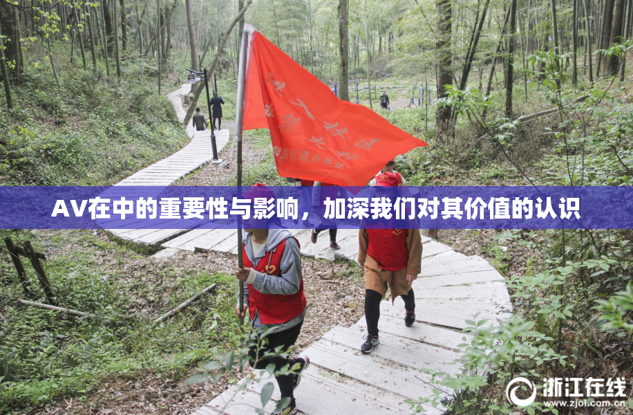 AV在中的重要性与影响，加深我们对其价值的认识