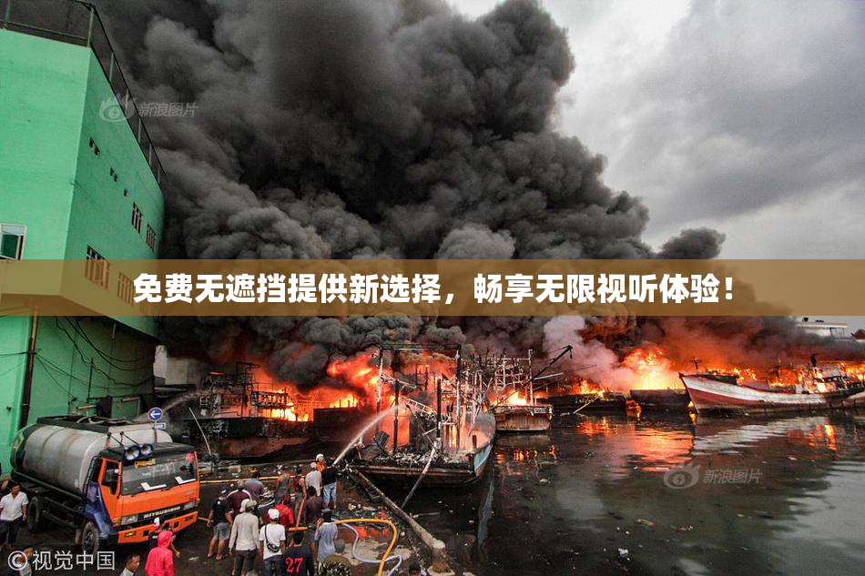 免费无遮挡提供新选择，畅享无限视听体验！