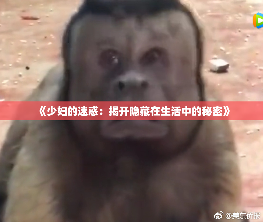 《少妇的迷惑：揭开隐藏在生活中的秘密》