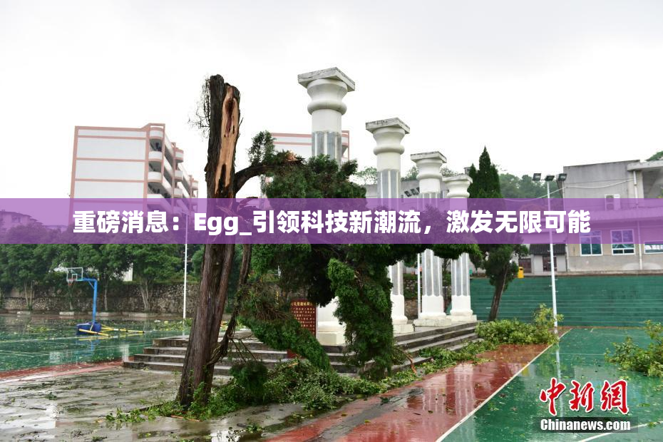 重磅消息：Egg_引领科技新潮流，激发无限可能