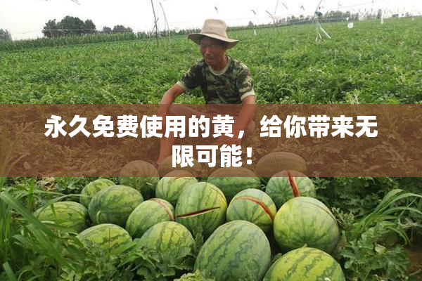 永久免费使用的黄，给你带来无限可能！