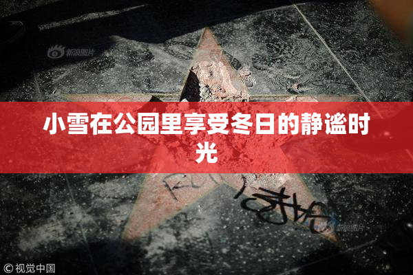 小雪在公园里享受冬日的静谧时光