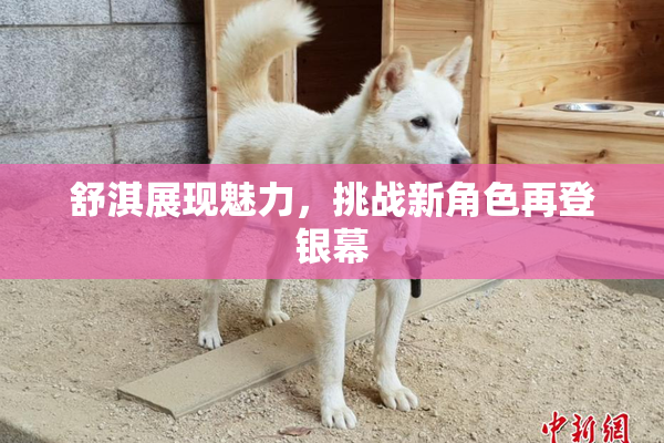 舒淇展现魅力，挑战新角色再登银幕
