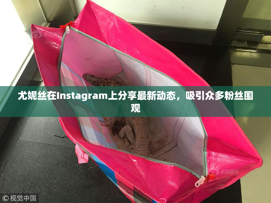 尤妮丝在Instagram上分享最新动态，吸引众多粉丝围观