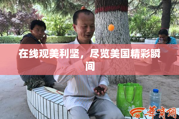 在线观美利坚，尽览美国精彩瞬间