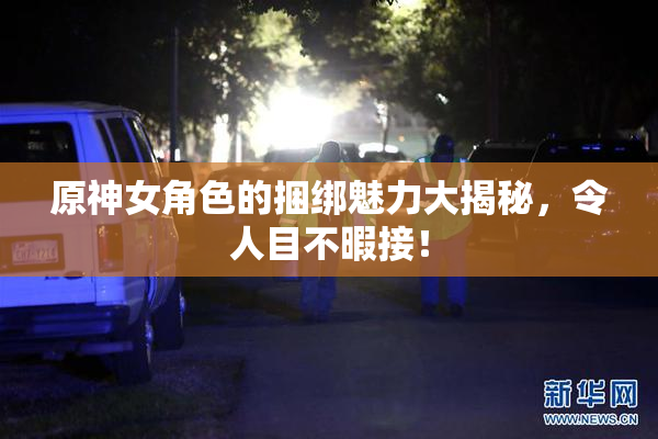 原神女角色的捆绑魅力大揭秘，令人目不暇接！