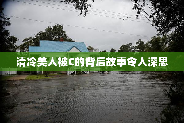 清冷美人被C的背后故事令人深思
