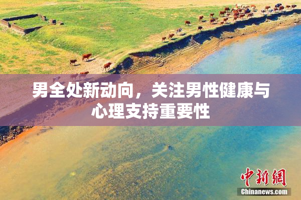 男全处新动向，关注男性健康与心理支持重要性
