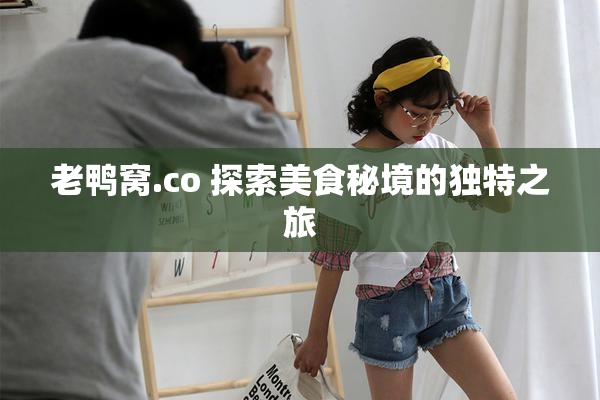 老鸭窝.co 探索美食秘境的独特之旅