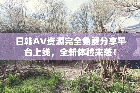 日韩AV资源完全免费分享平台上线，全新体验来袭！
