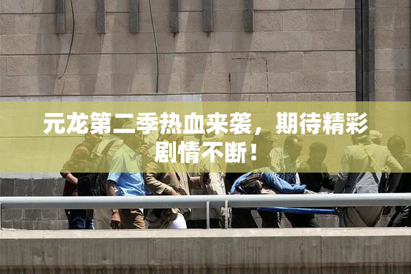 元龙第二季热血来袭，期待精彩剧情不断！
