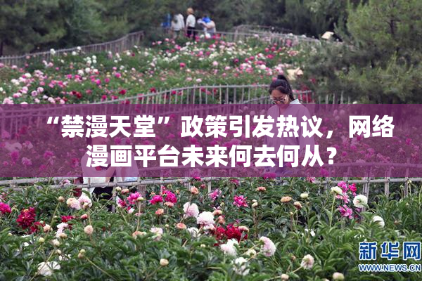 “禁漫天堂”政策引发热议，网络漫画平台未来何去何从？