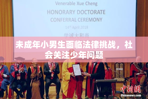 未成年小男生面临法律挑战，社会关注少年问题