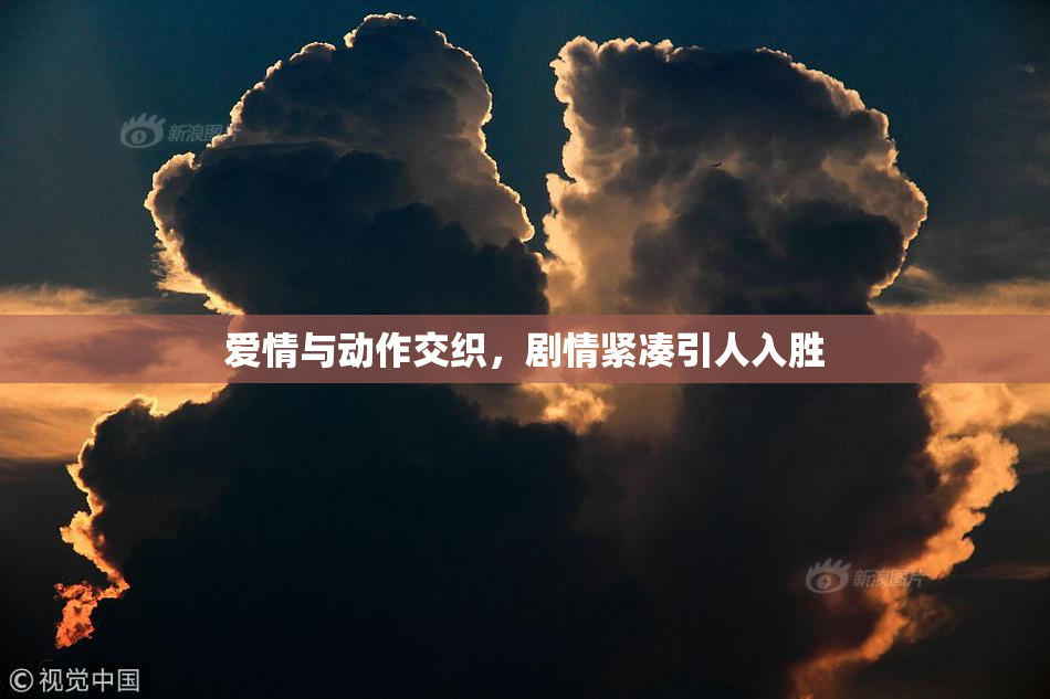 爱情与动作交织，剧情紧凑引人入胜