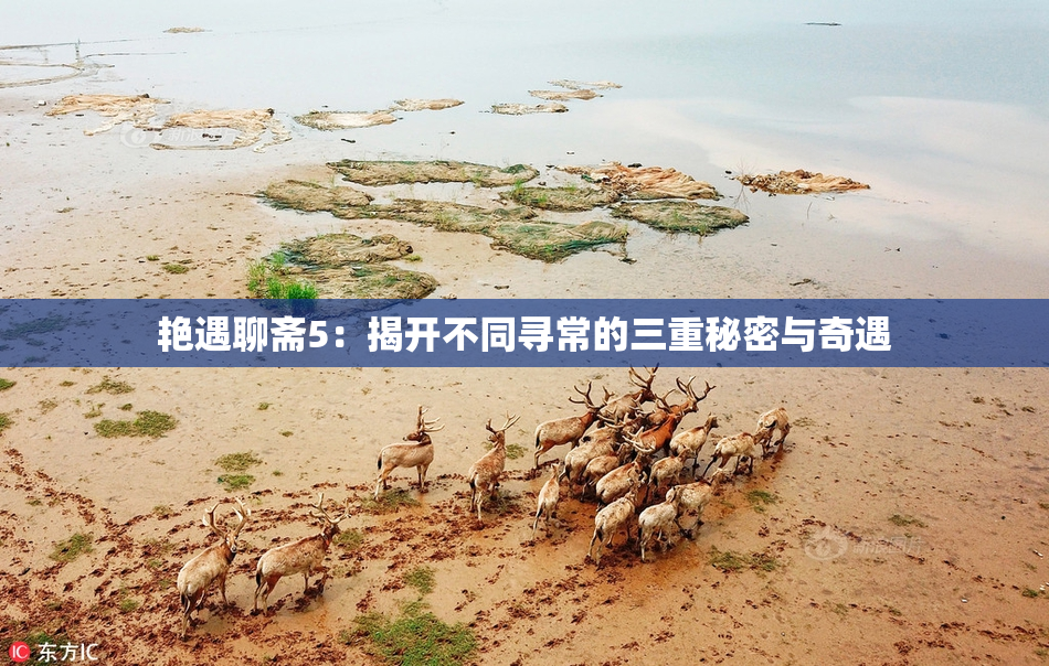 艳遇聊斋5：揭开不同寻常的三重秘密与奇遇