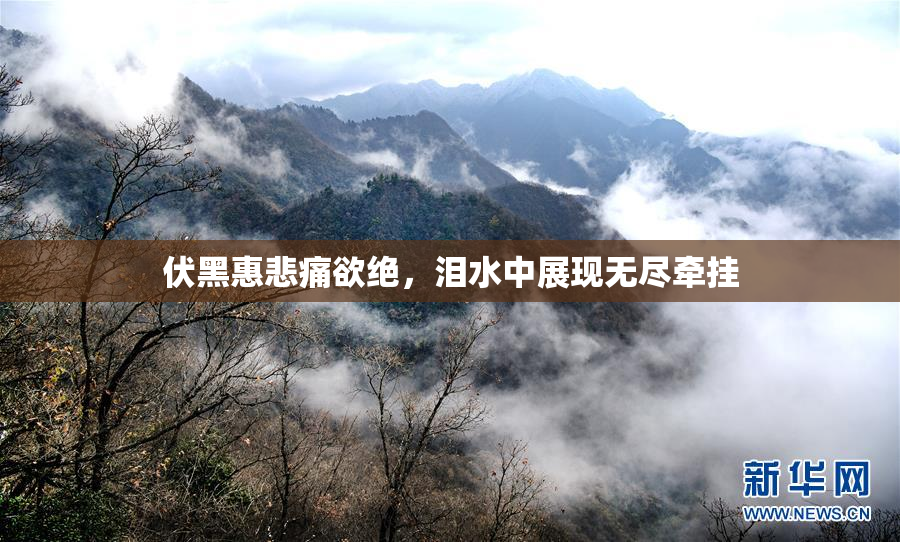 伏黑惠悲痛欲绝，泪水中展现无尽牵挂