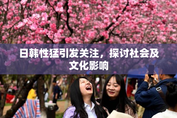 日韩性猛引发关注，探讨社会及文化影响