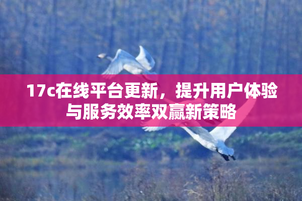 17c在线平台更新，提升用户体验与服务效率双赢新策略