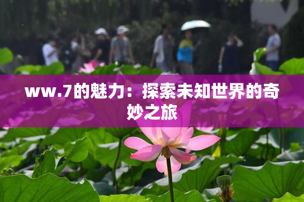 ww.7的魅力：探索未知世界的奇妙之旅