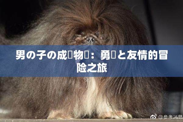 男の子の成長物語：勇気と友情的冒险之旅
