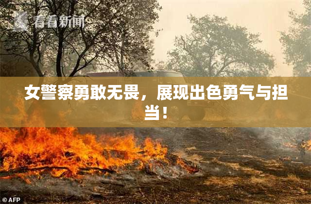 女警察勇敢无畏，展现出色勇气与担当！