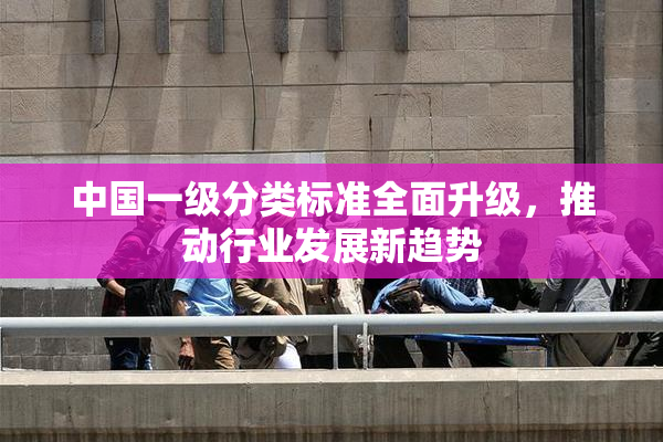 中国一级分类标准全面升级，推动行业发展新趋势