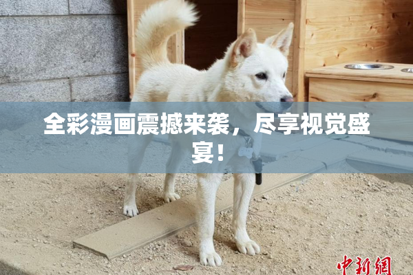 全彩漫画震撼来袭，尽享视觉盛宴！