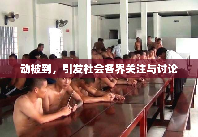 动被到，引发社会各界关注与讨论