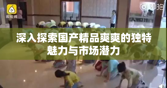 深入探索国产精品爽爽的独特魅力与市场潜力