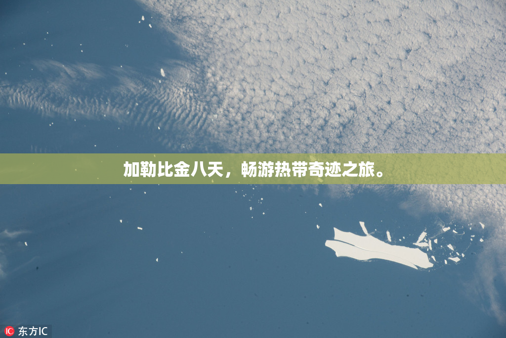 加勒比金八天，畅游热带奇迹之旅。