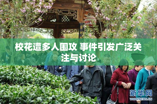 校花遭多人围攻 事件引发广泛关注与讨论