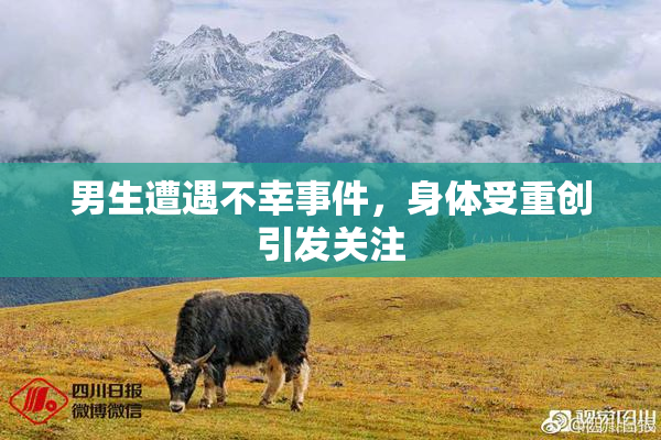 男生遭遇不幸事件，身体受重创引发关注