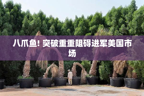 八爪鱼! 突破重重阻碍进军美国市场