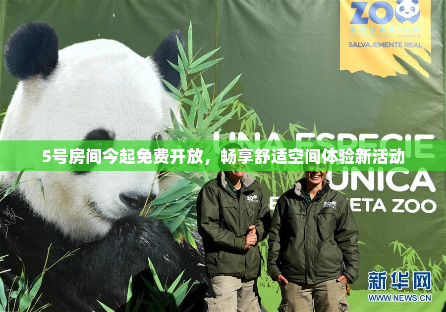 5号房间今起免费开放，畅享舒适空间体验新活动