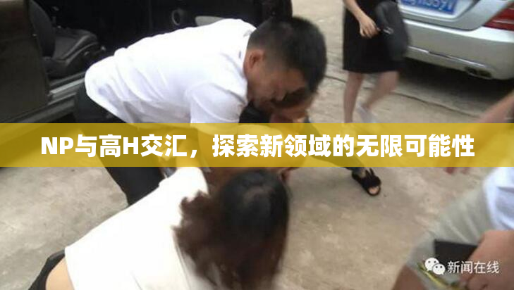 NP与高H交汇，探索新领域的无限可能性