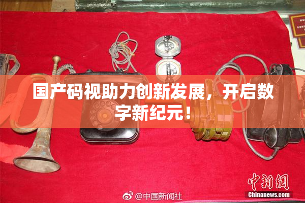 国产码视助力创新发展，开启数字新纪元！