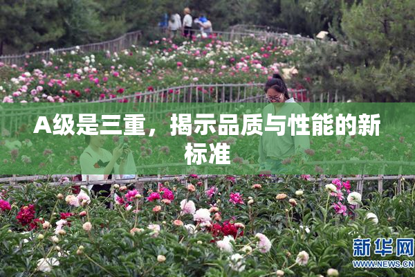 A级是三重，揭示品质与性能的新标准