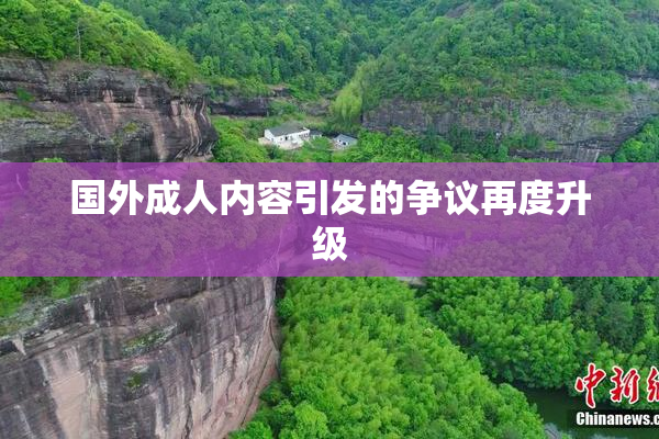 国外成人内容引发的争议再度升级