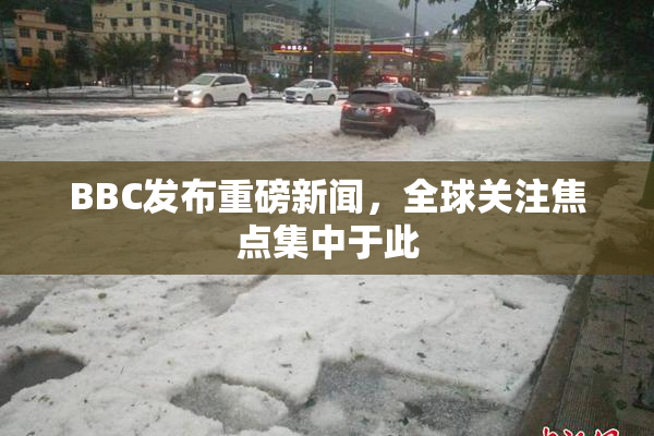 BBC发布重磅新闻，全球关注焦点集中于此